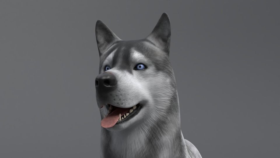 Husky dog Low-poly 3D model_9