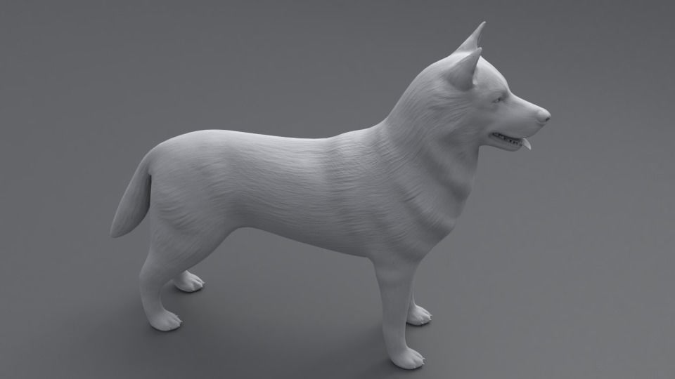 Husky dog Low-poly 3D model_12