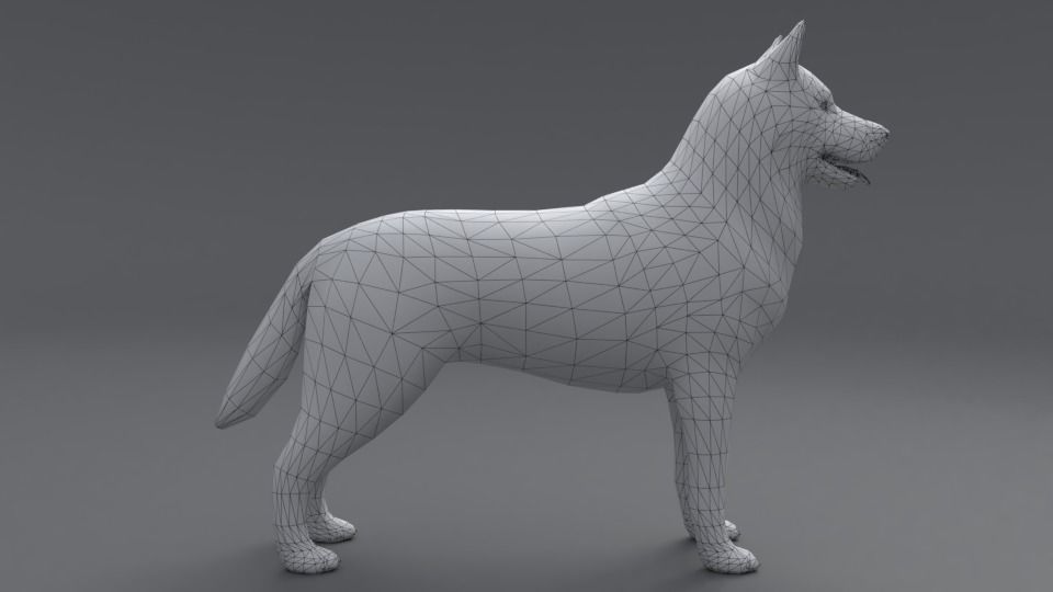 Husky dog Low-poly 3D model_5