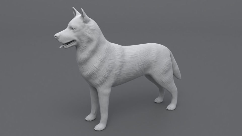 Husky dog Low-poly 3D model_1