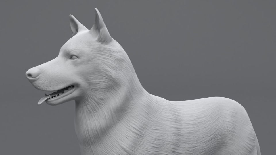 Husky dog Low-poly 3D model_11