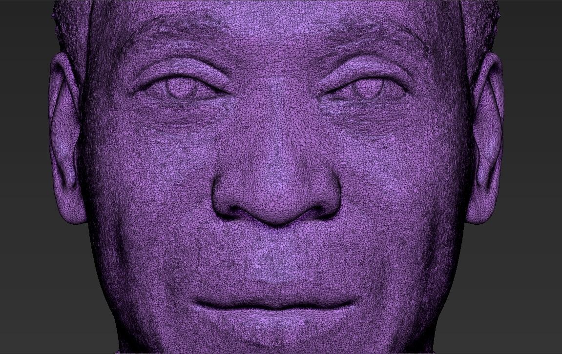 Pele bust 3D printing ready stl obj formats 3D print model_28