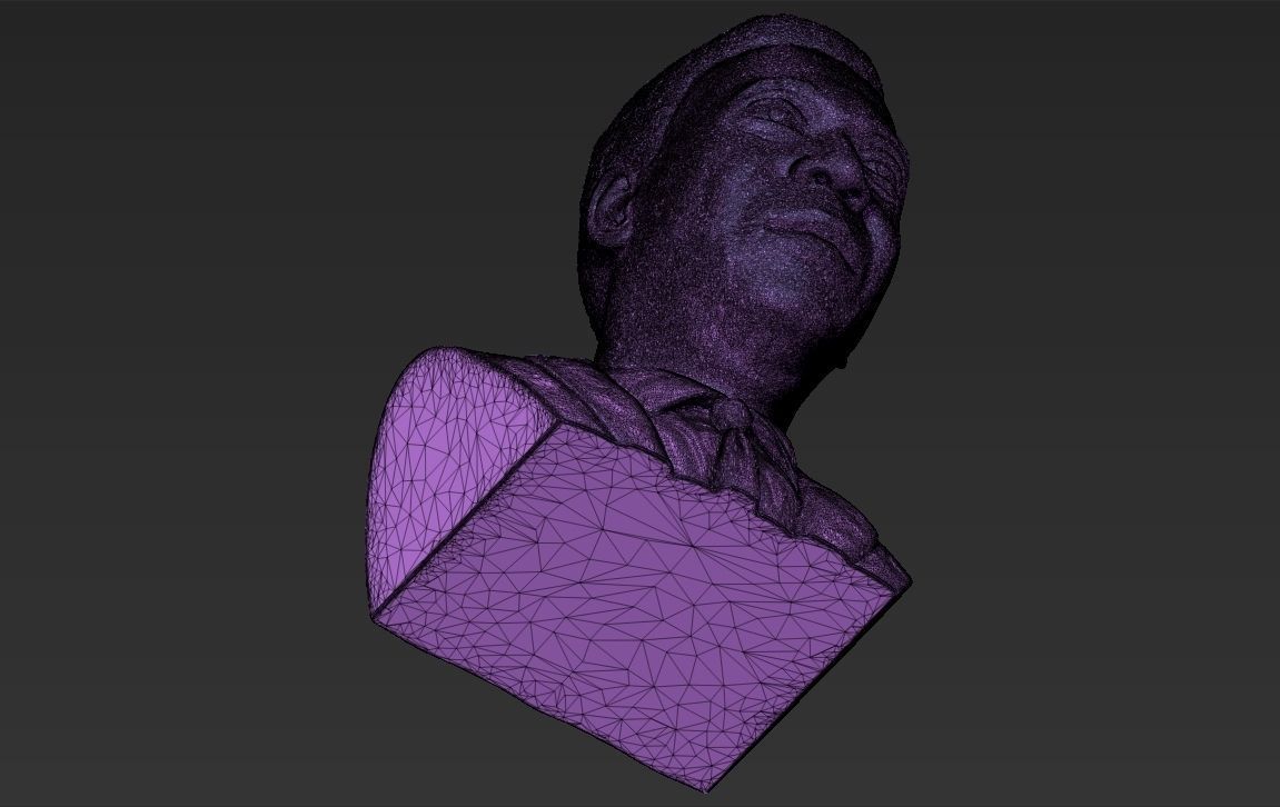 Pele bust 3D printing ready stl obj formats 3D print model_31