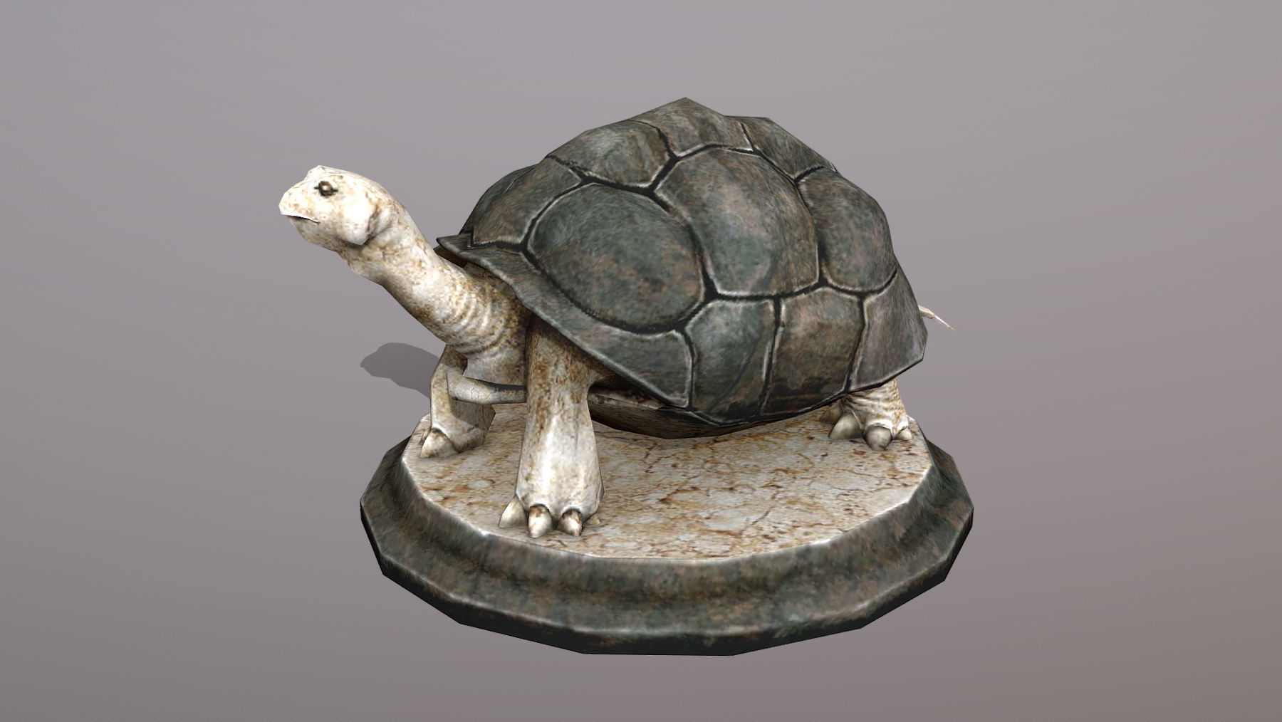 Statue Trutle Low-poly 3D model_8