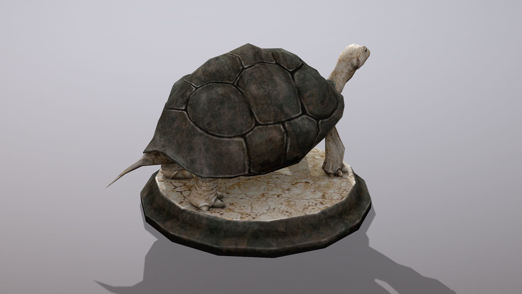 Statue Trutle Low-poly 3D model_9