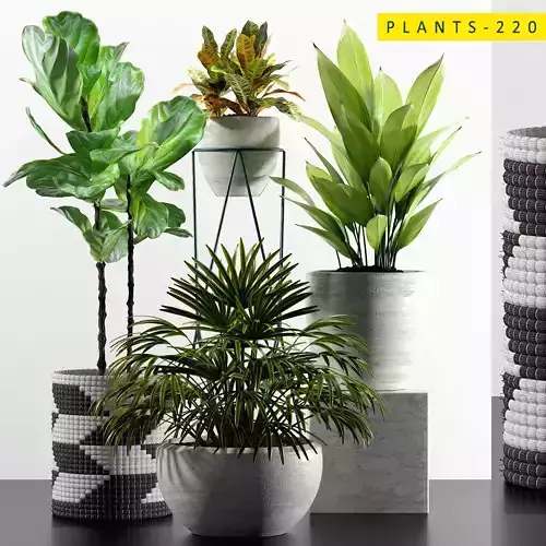 PLANTS 220