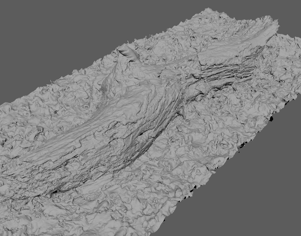Wood Log 3D model_11
