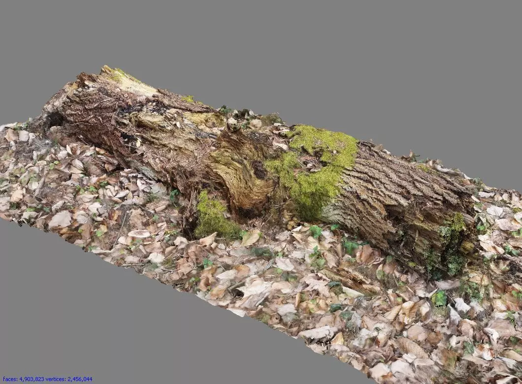 Wood Log 3D model_0