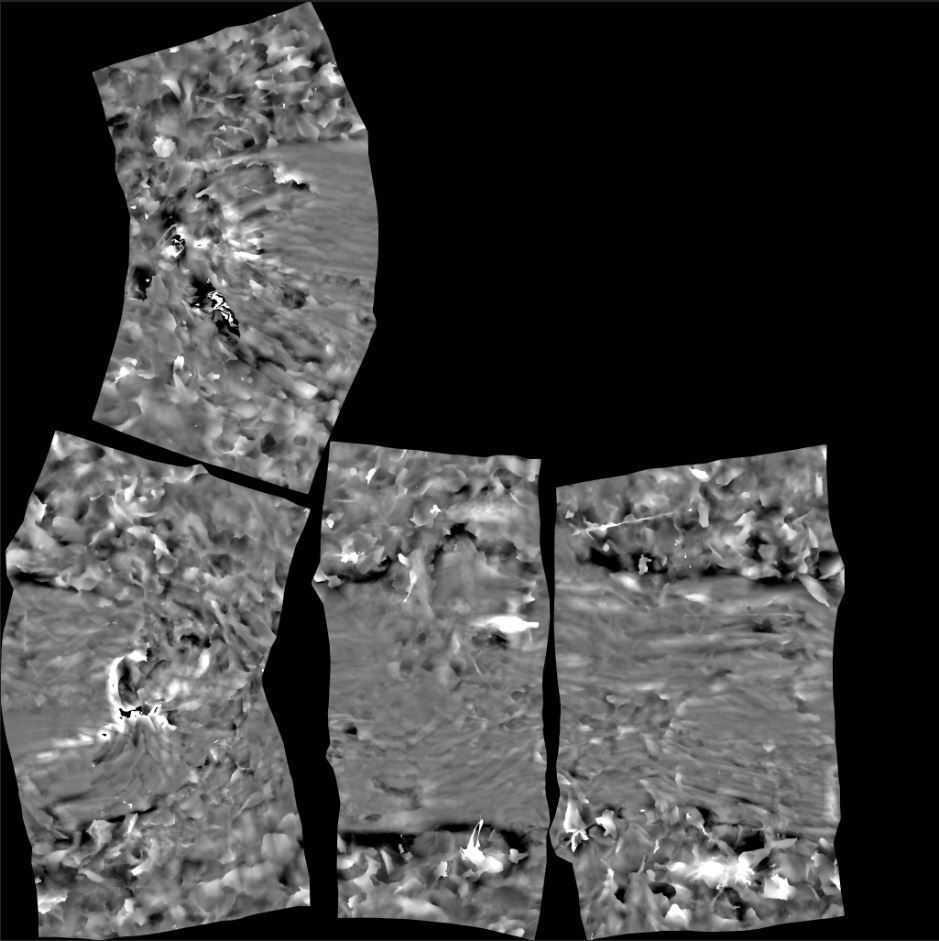 Wood Log 3D model_13