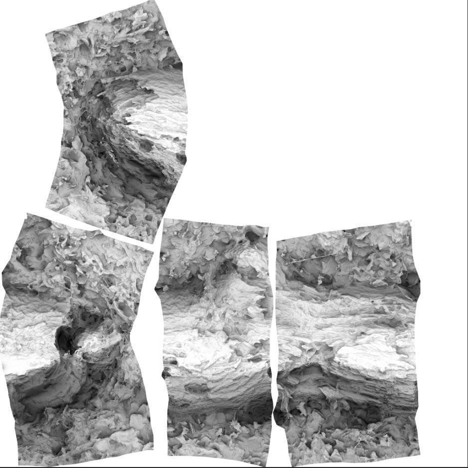 Wood Log 3D model_15