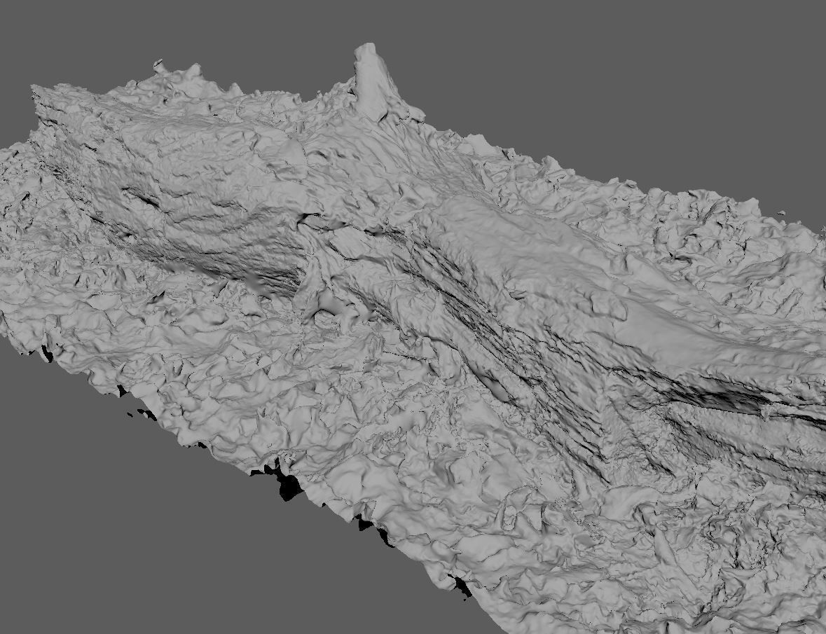 Wood Log 3D model_10