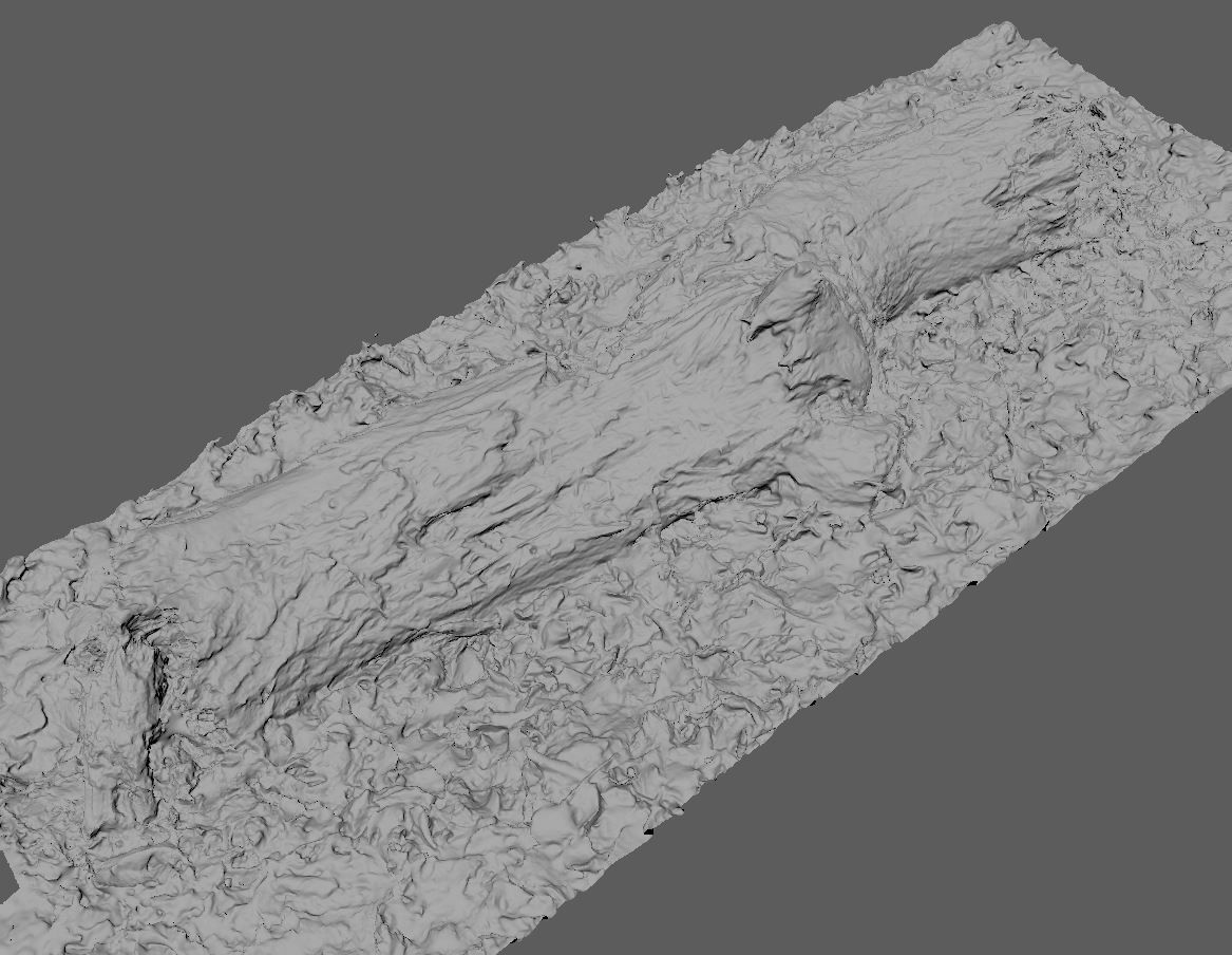Wood Log 3D model_9