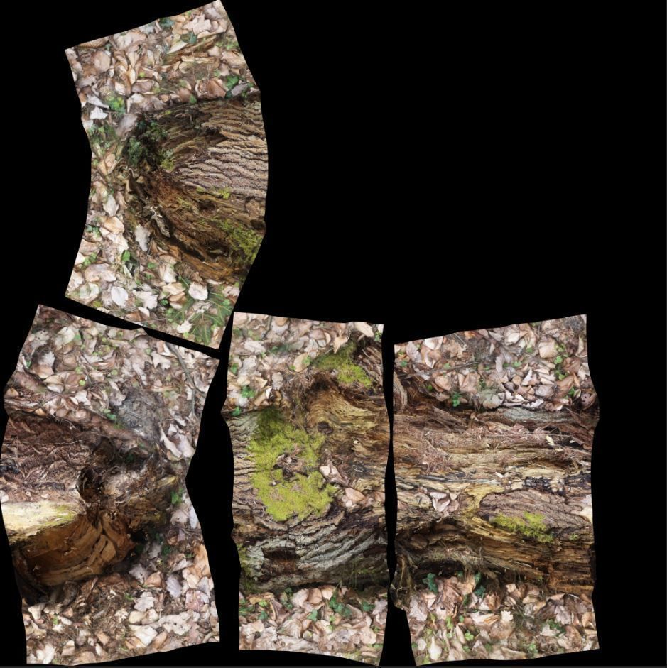 Wood Log 3D model_12