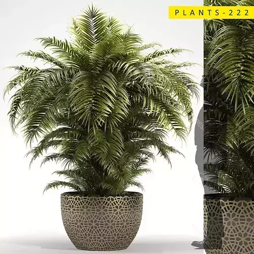 PLANTS 222