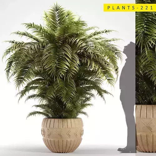 PLANTS 221 3D model