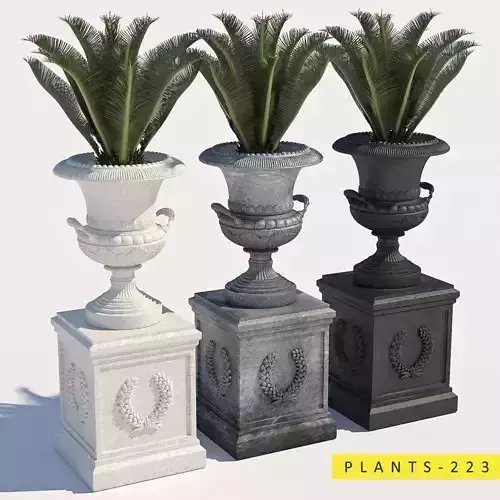 Plants 223 3D model