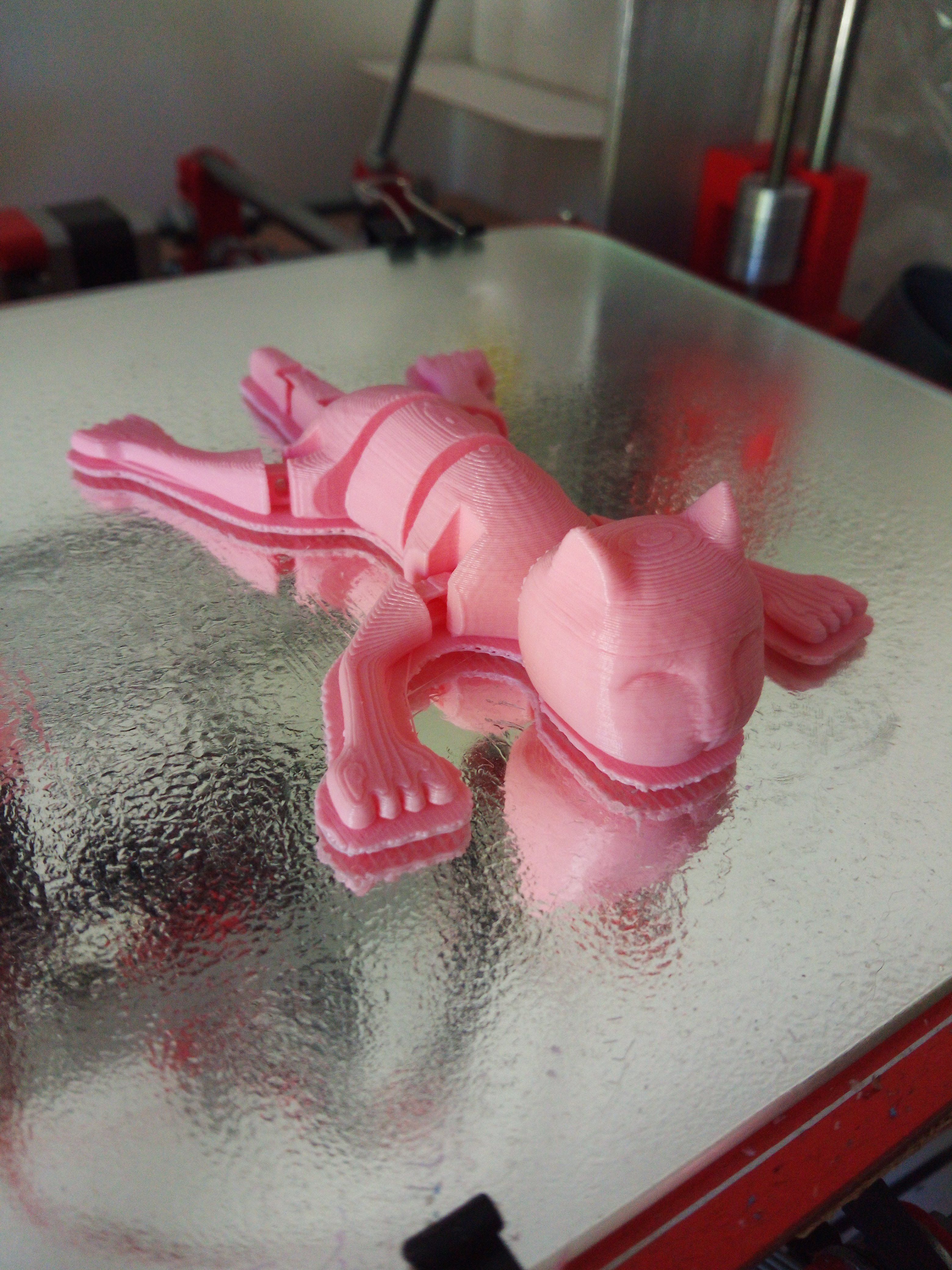 Flexi Cat 3D print model_2