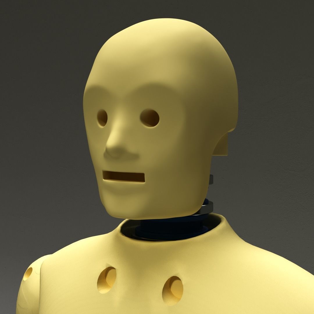 CT Dummy 3D model_3