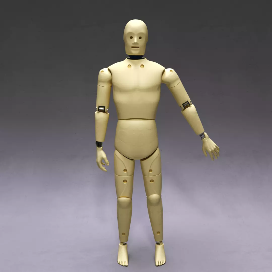 CT Dummy 3D model_0