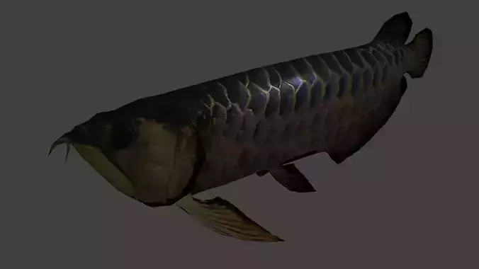 Arowana koi fish Low-poly 3D model
