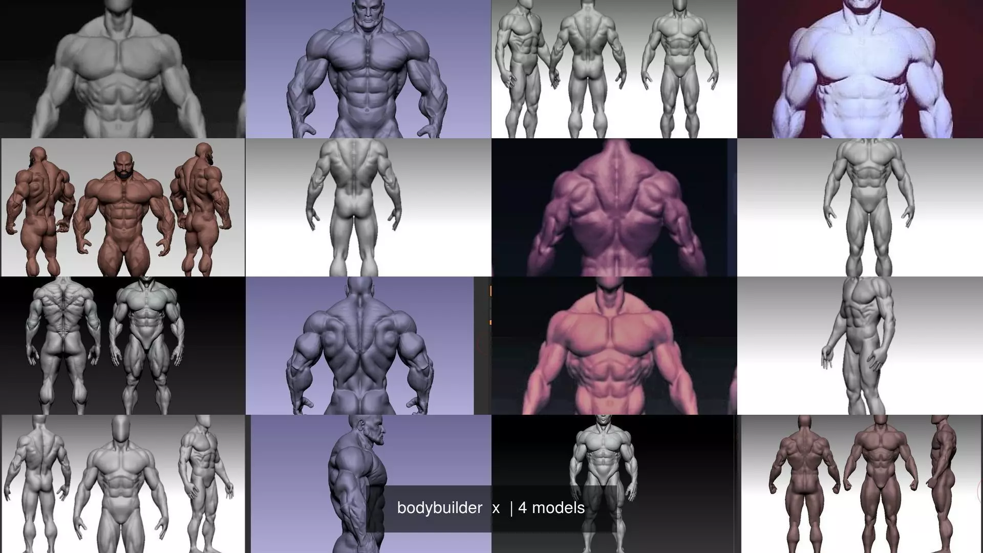 bodybuilder x different body types 3D Model Collection_0