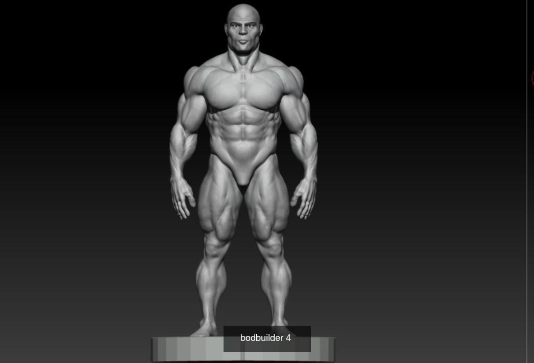 bodybuilder x different body types 3D Model Collection_4