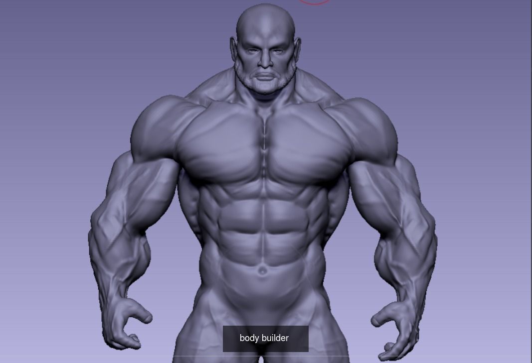 bodybuilder x different body types 3D Model Collection_6