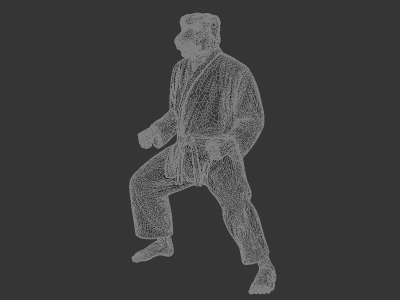 Dog Kiba Dachi Stance 3D print model_8