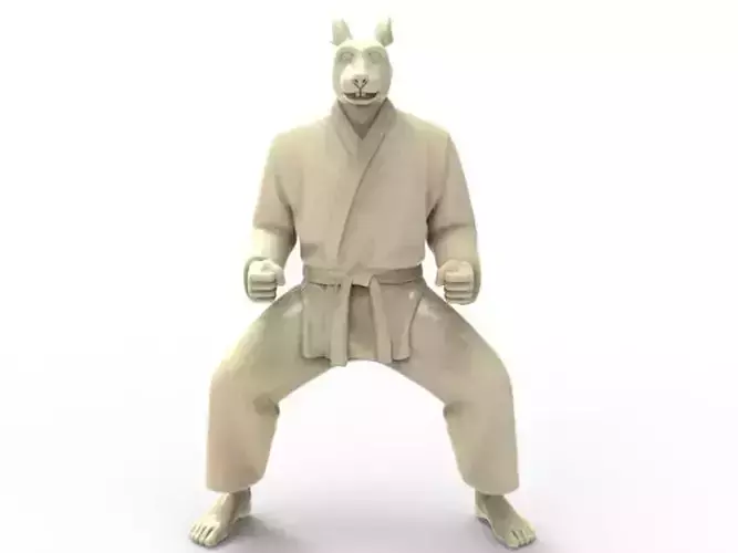 Rabbit Kiba Dachi Stance