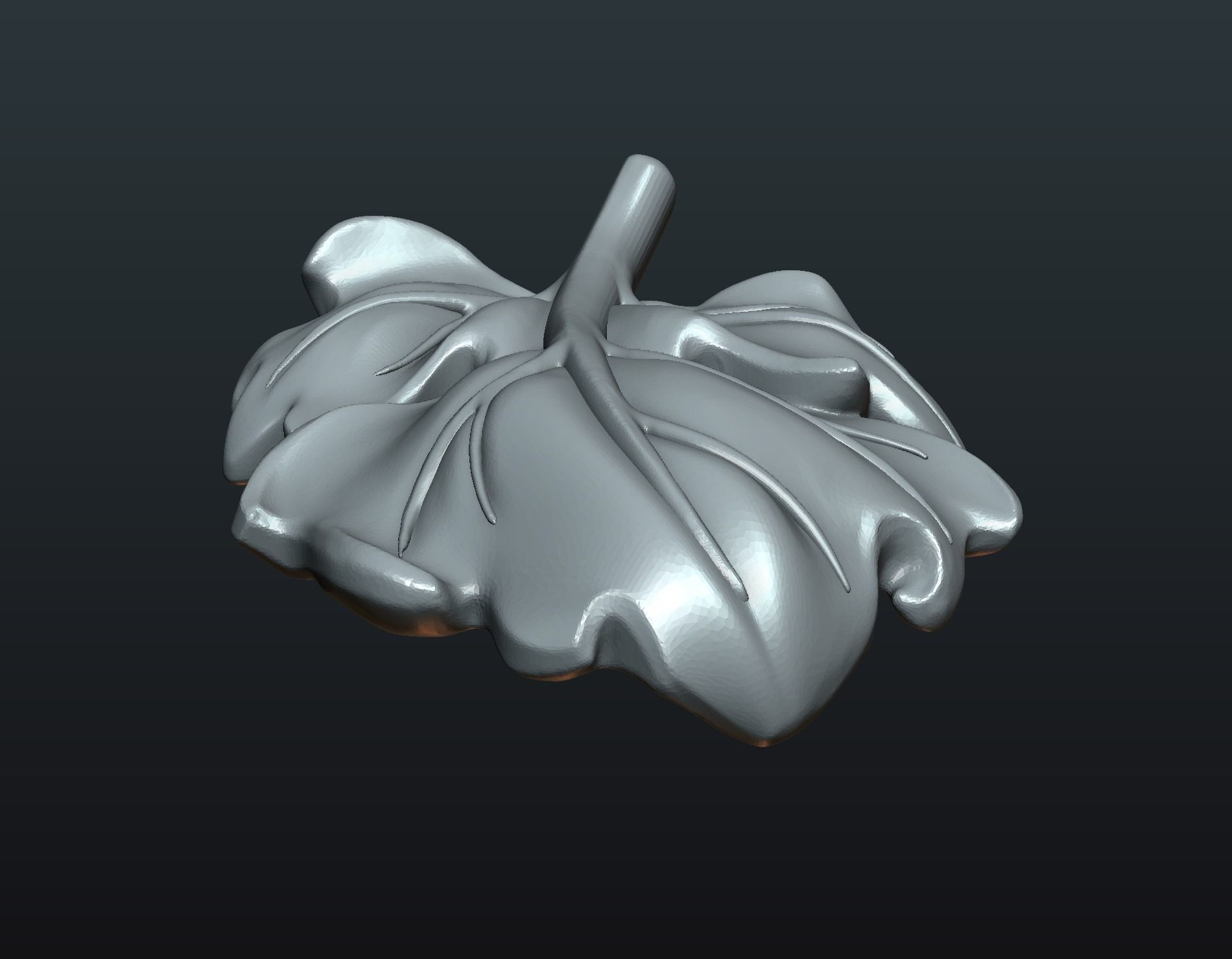 Fig Leaf 3D print model_8