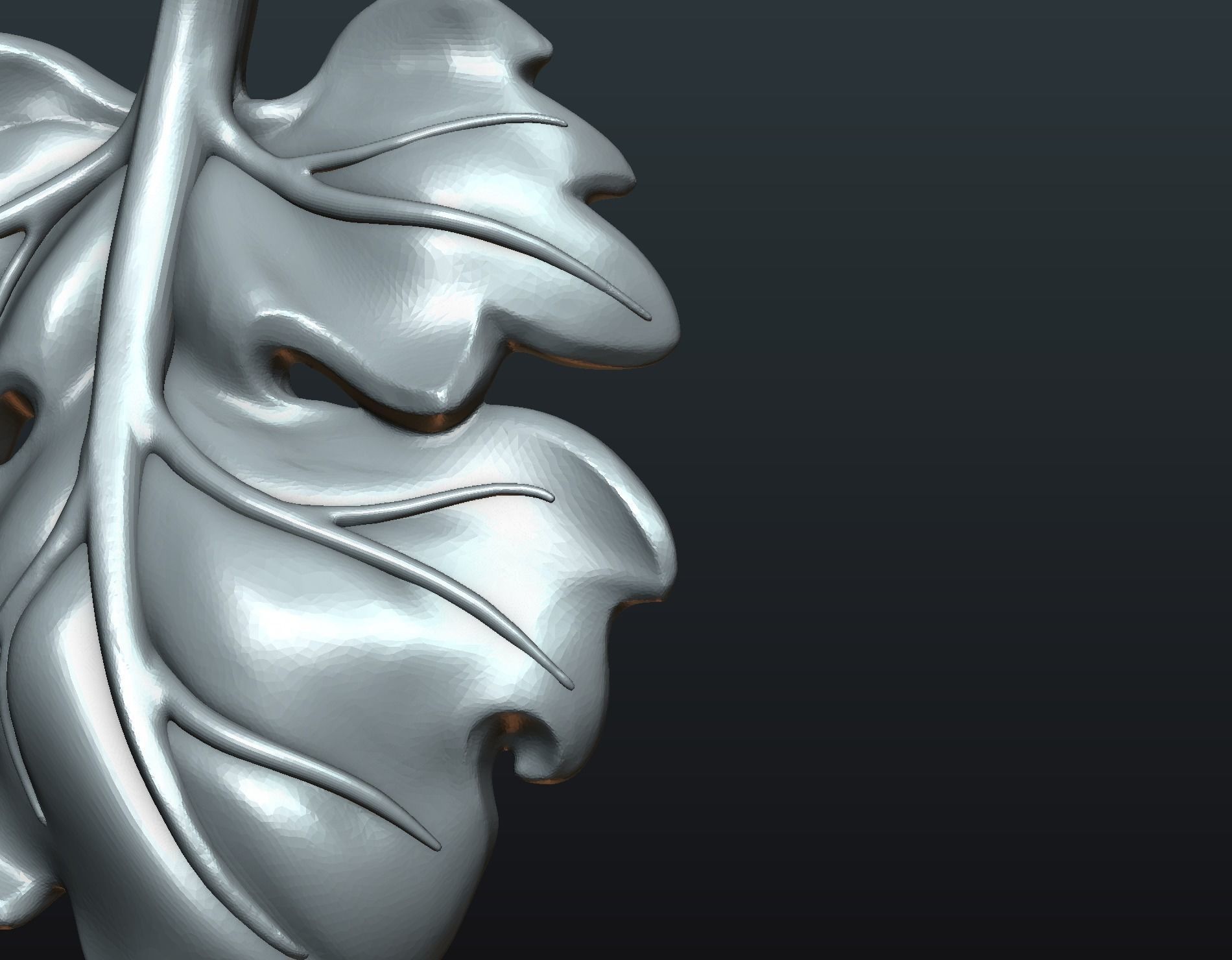 Fig Leaf 3D print model_7