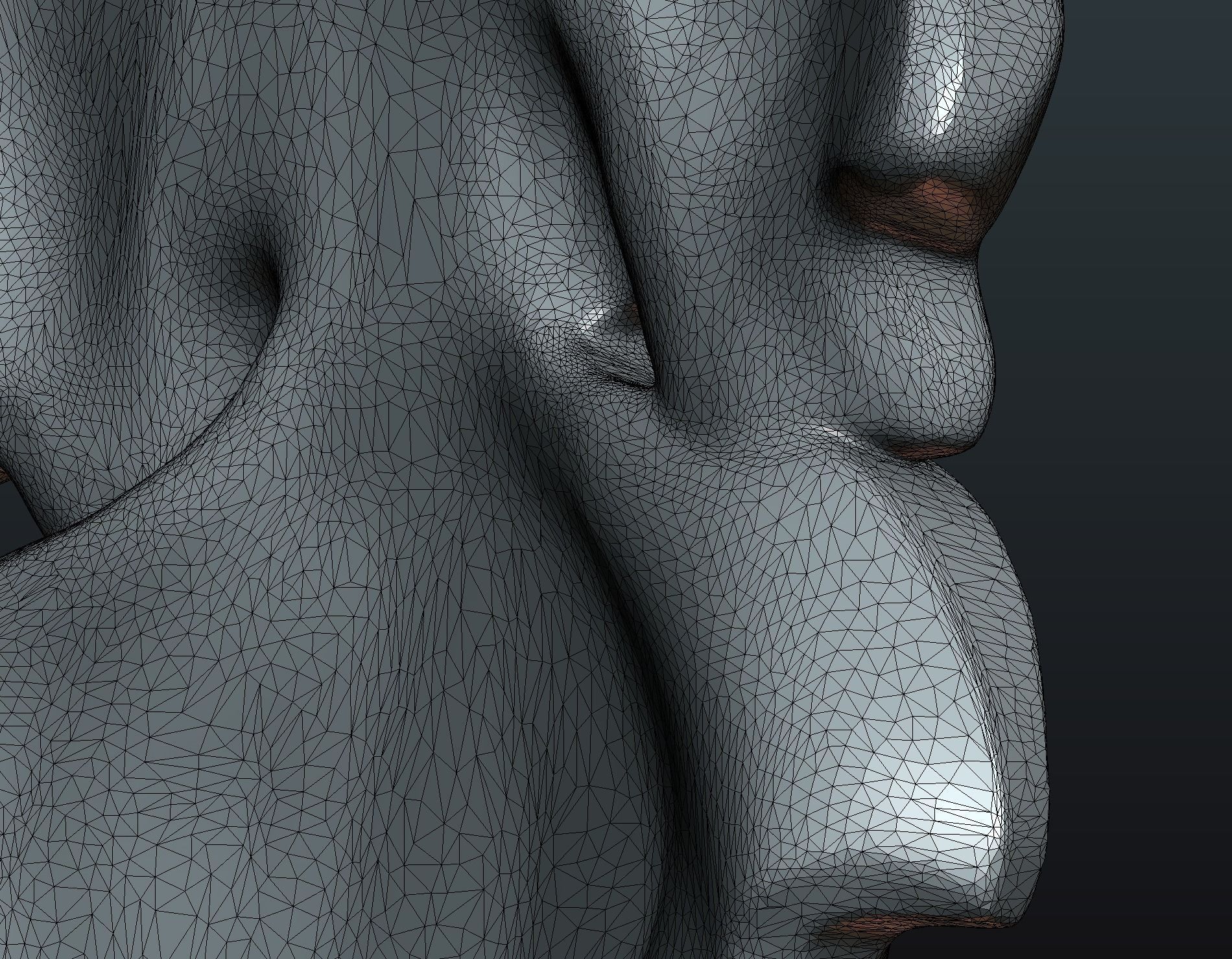 Fig Leaf 3D print model_13