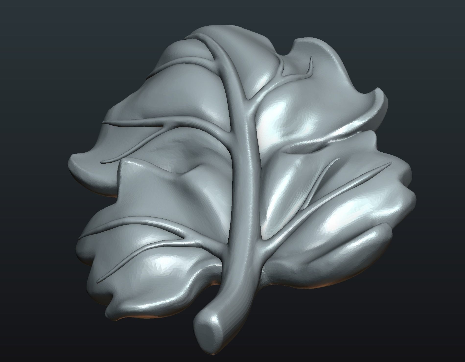 Fig Leaf 3D print model_11