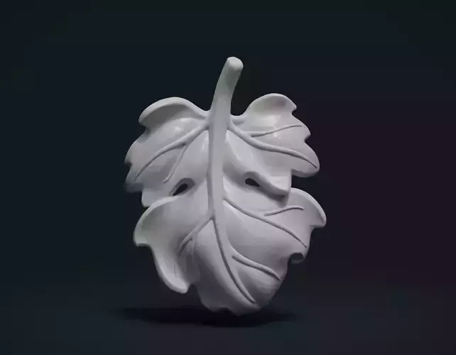 Fig Leaf 3D print model