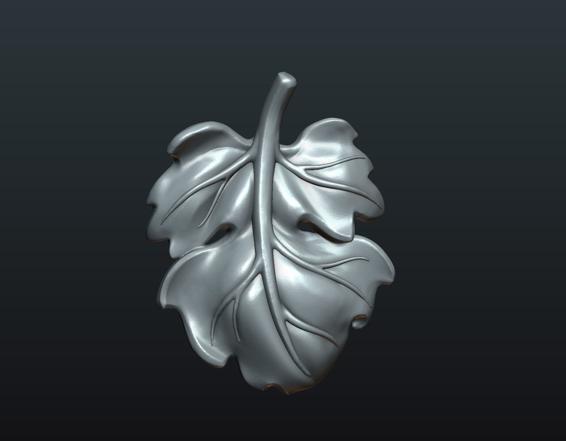Fig Leaf 3D print model_6