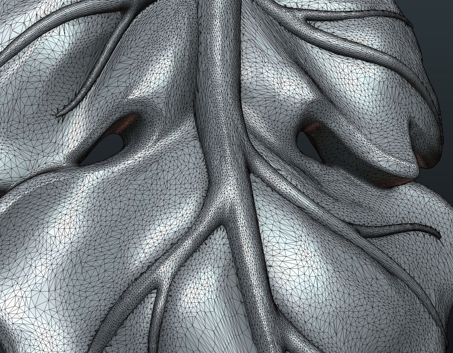 Fig Leaf 3D print model_14