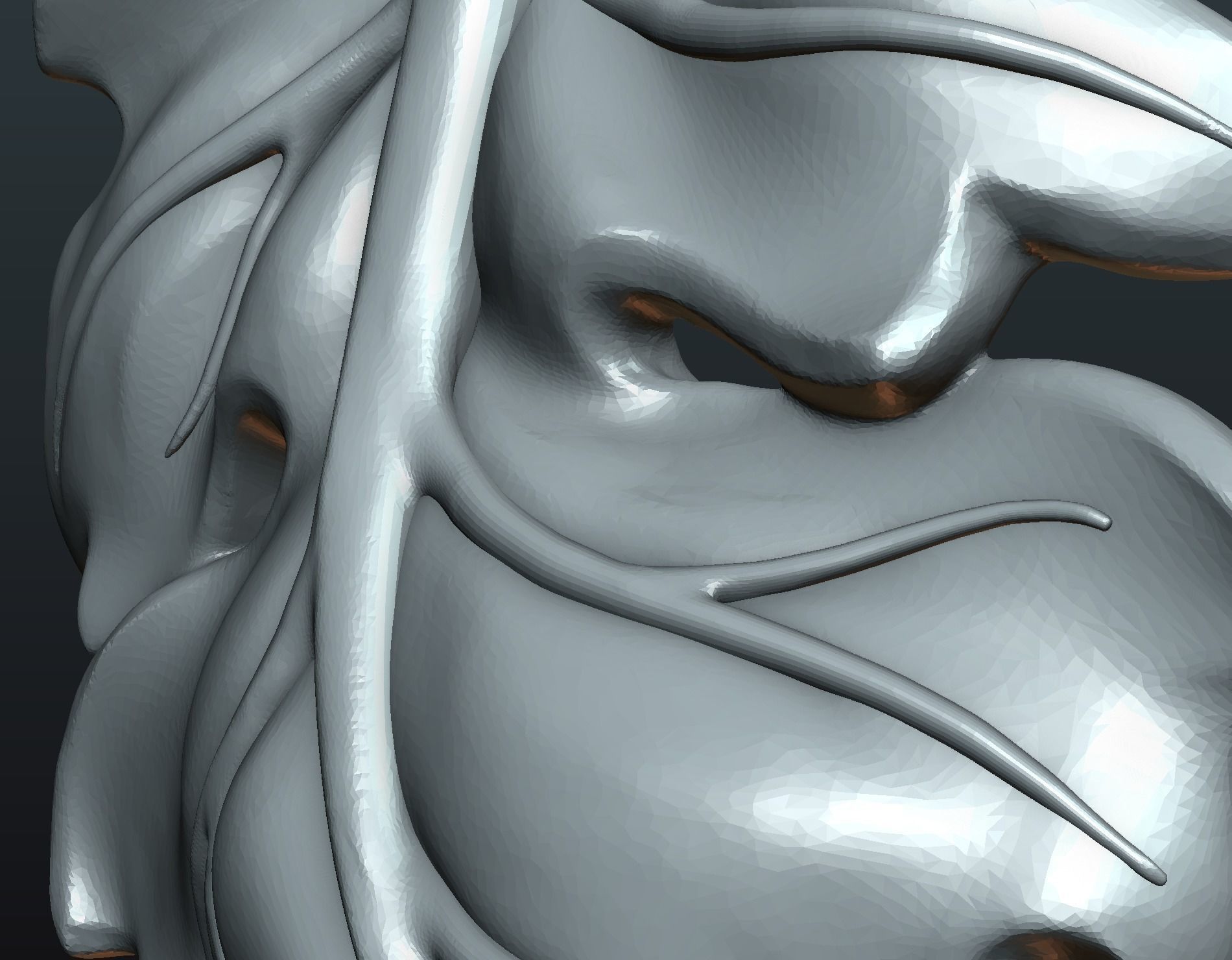 Fig Leaf 3D print model_12