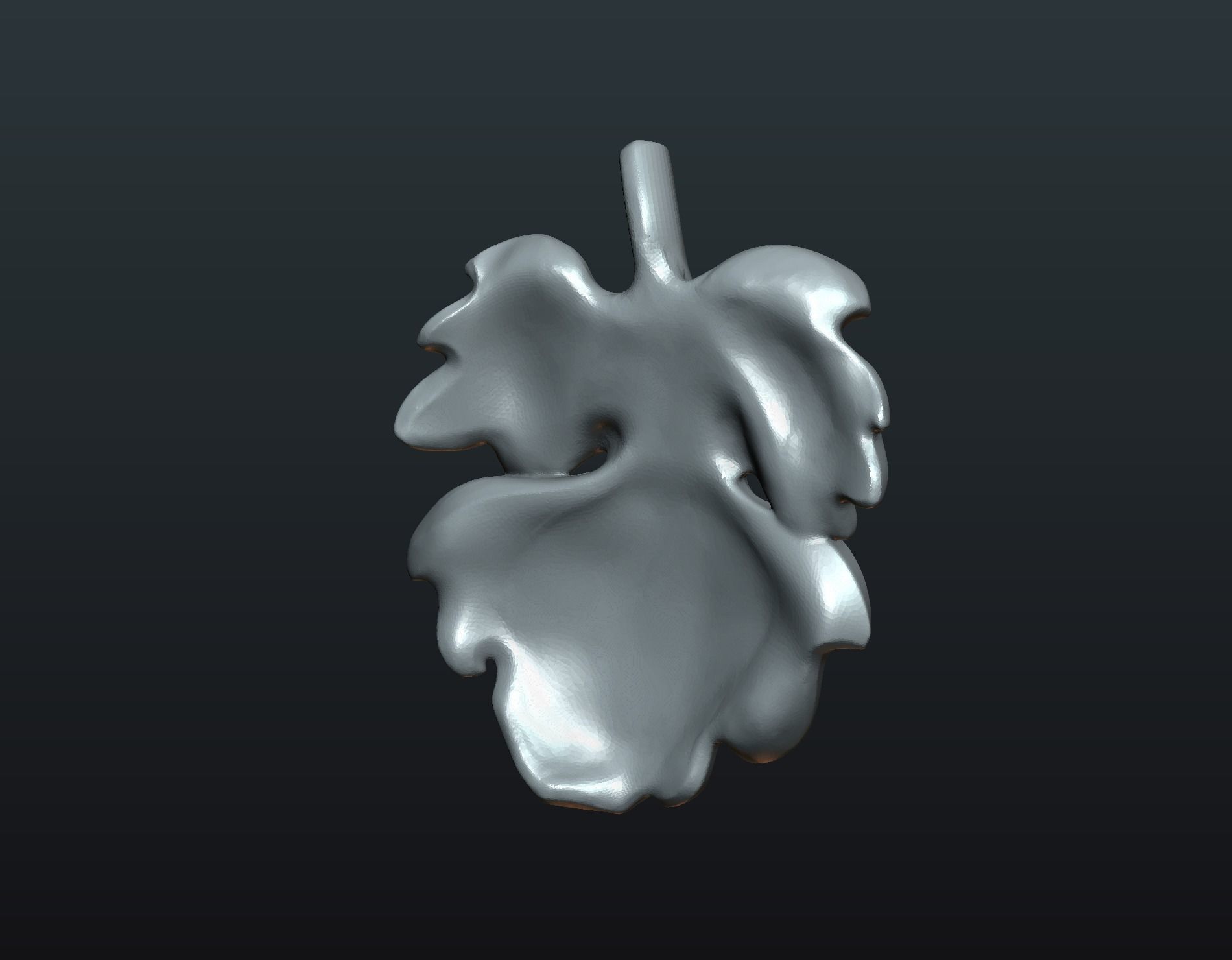 Fig Leaf 3D print model_10