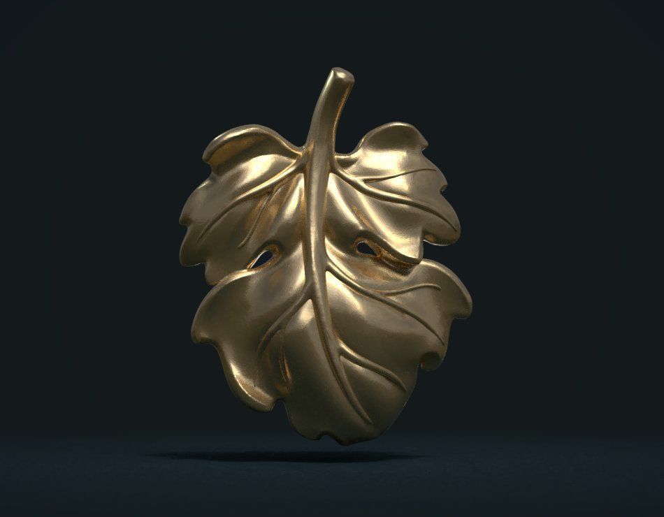Fig Leaf 3D print model_3