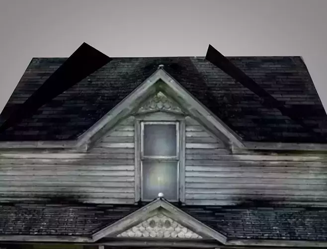 Old House 3D model