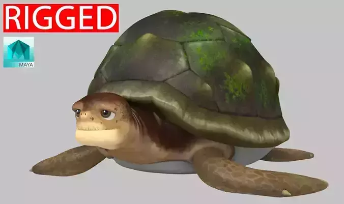 Turtle 3D model