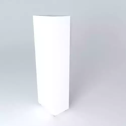 Closet cleaning supplies