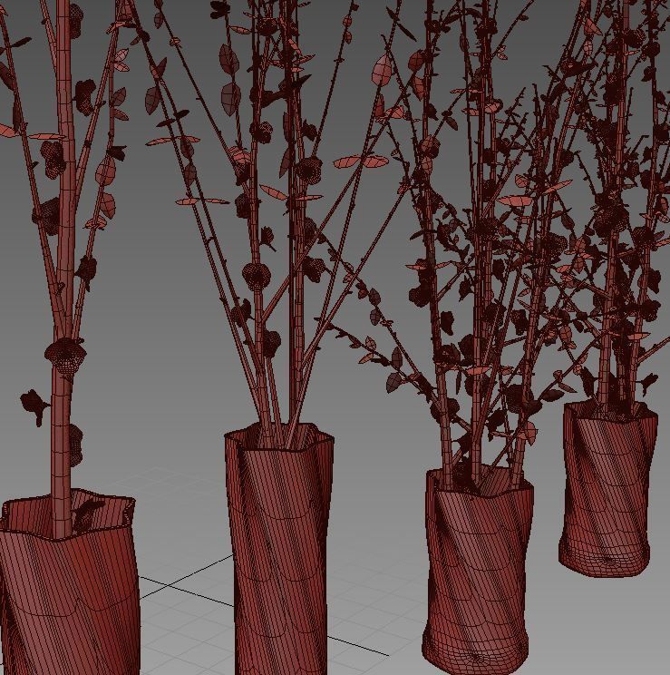 dry decorative plant set 3D model_6