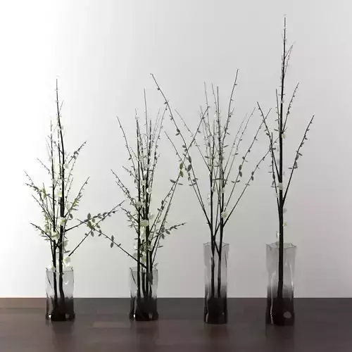 dry decorative plant set 3D model