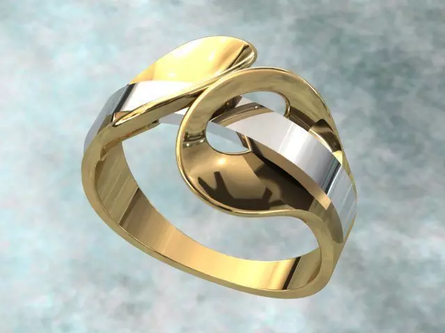 Fantasia Ring2 3D print model