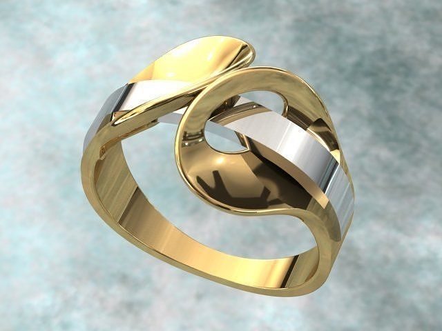 Fantasia Ring2 3D print model