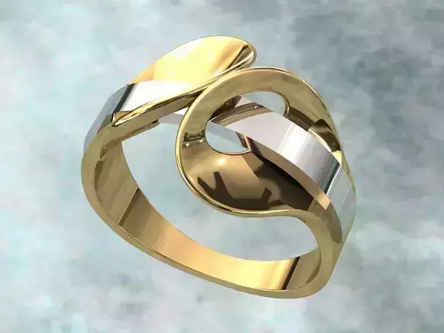 Fantasia Ring2 3D print model