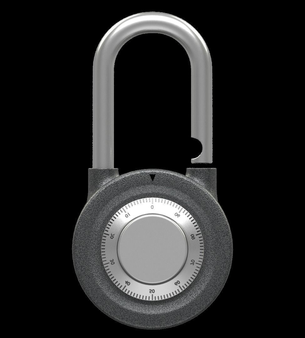 The padlock 3D model_3