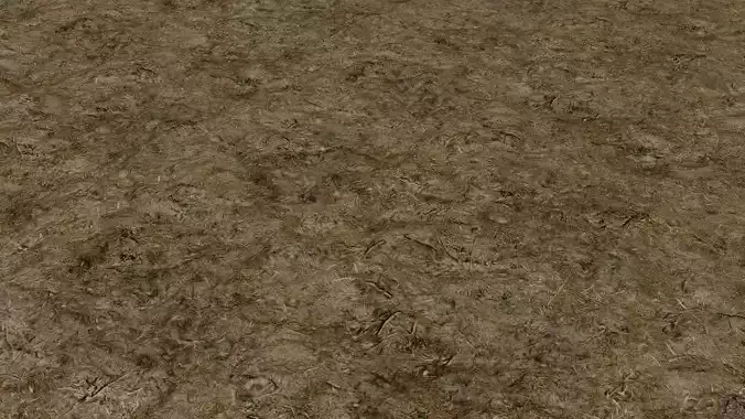 Forest Floor 01 Photoscanned Seamless Texture Texture