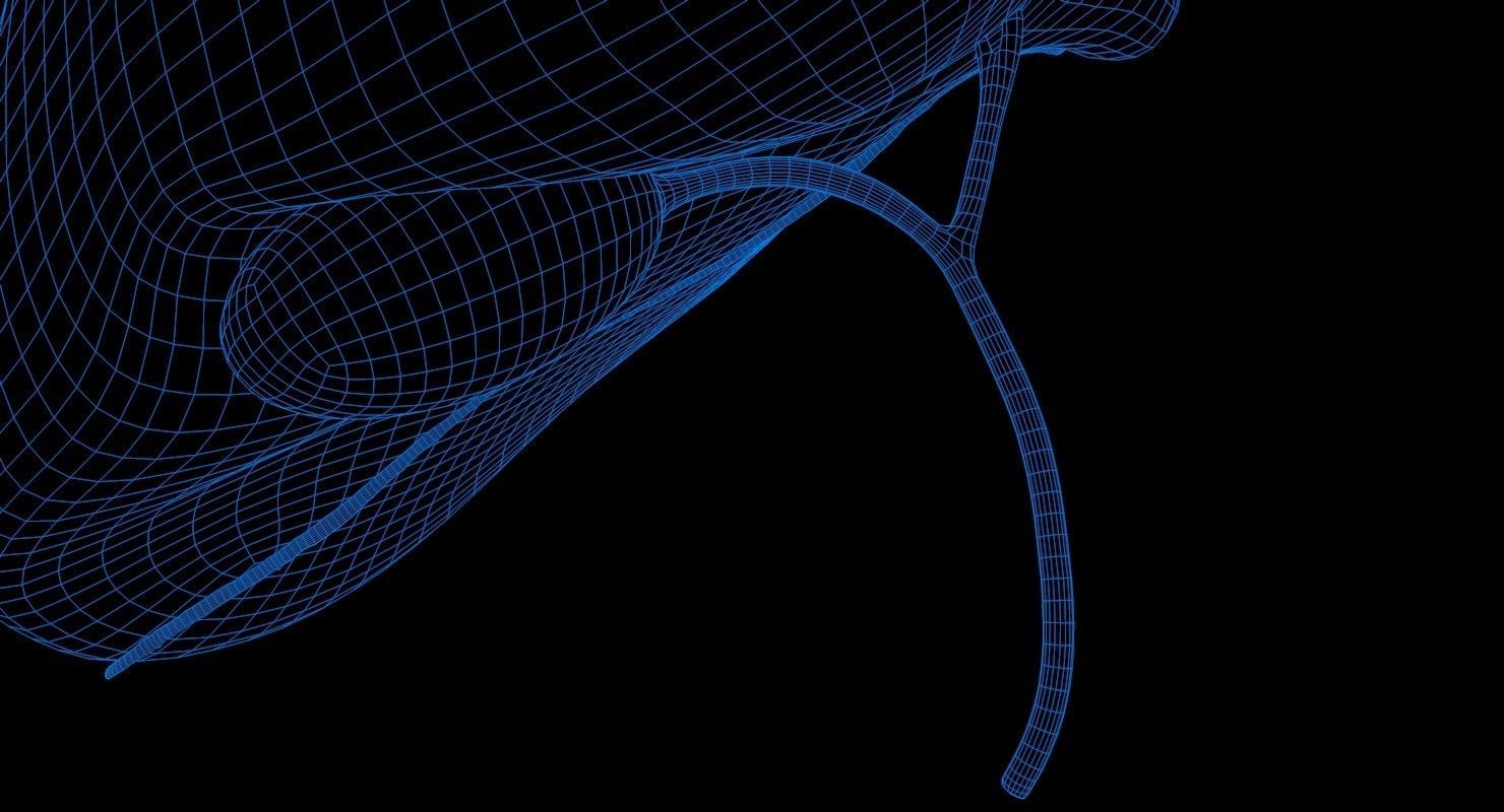 Liver and Bile Duct - Medically Accurate Hepatobiliary System 3D print model_13